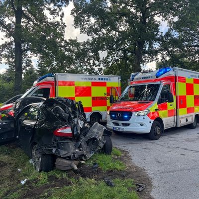 FW-SE: Schwerer Verkehrsunfall mit LKW und zwei PKW auf der B206 Höhe Bad Bramstedt