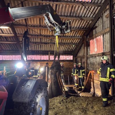 FW-AUR: Großtierrettung auf landwirtschaftlichem Anwesen