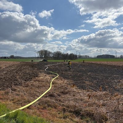 FW-WAF: Brand auf Getreidefeld