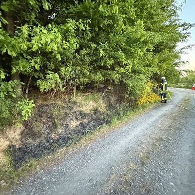 FW Ense: Feuerwehr Ense löscht Waldbrand / Fahrlässigkeit vermutlich Ursache