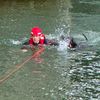 FW-M: Vier Pfoten auf Abwegen - Feuerwehr rettet Hund aus Isar (Oberföhring)