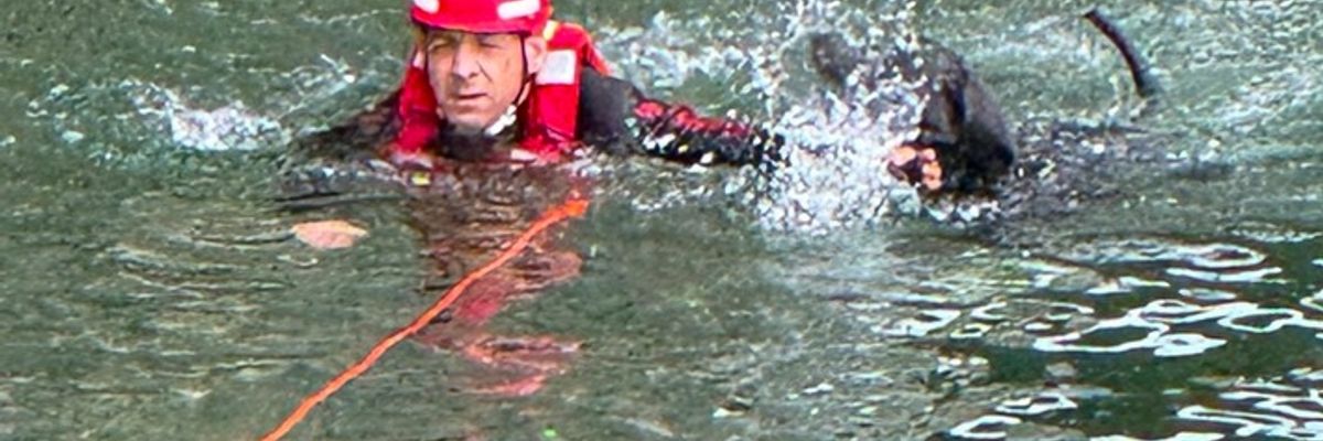 FW-M: Vier Pfoten auf Abwegen - Feuerwehr rettet Hund aus Isar (Oberföhring)