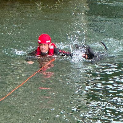 FW-M: Vier Pfoten auf Abwegen - Feuerwehr rettet Hund aus Isar (Oberföhring)