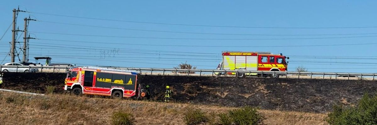 Feuerwehr MTK: Vegetationsbrände beschäftigen Feuerwehren in Hattersheim auch am Donnerstag