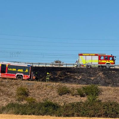 Feuerwehr MTK: Vegetationsbrände beschäftigen Feuerwehren in Hattersheim auch am Donnerstag