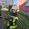 FW Celle: Igel aus misslicher Lage befreit