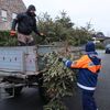 FW Gangelt: Abholung der Weihnachtsbäume durch die Jugendfeuerwehr