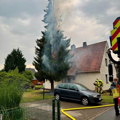 FW-DT: Brennende Tanne nach Blitzeinschlag