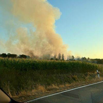 FW Hünxe: Überörtliche Hilfe beim Waldbrand in Sonsbeck