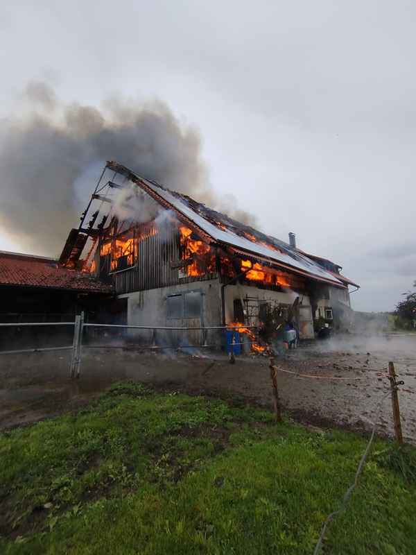 LRA-Ravensburg: Landwirtschaftliches Anwesen im Vollbrand 50 Milchkühe, 16 Jungrinder und das Wohnhaus konnten gerettet werden