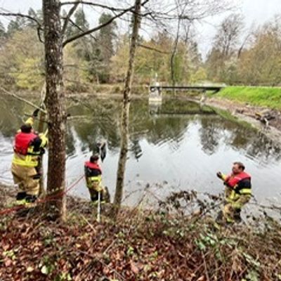 FW Stuttgart: Tierrettung durch die Wasserrettungseinheit - Strömungsretter der Feuerwehr im Einsatz - Kauz gerettet und dem Tiernotdienst übergeben