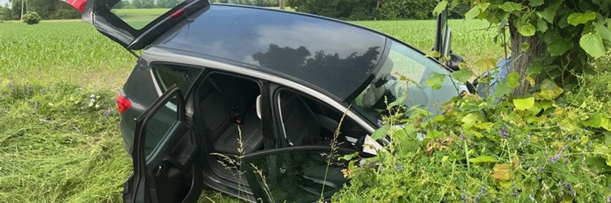 FW-WAF: PKW vor Baum