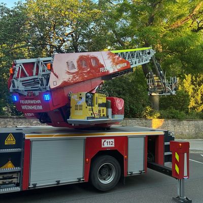 FW Weinheim: Drei Katzen, zwei Einsätze. Feuerwehr Weinheim an Pfingsten zu zwei Katzenrettungen alarmiert