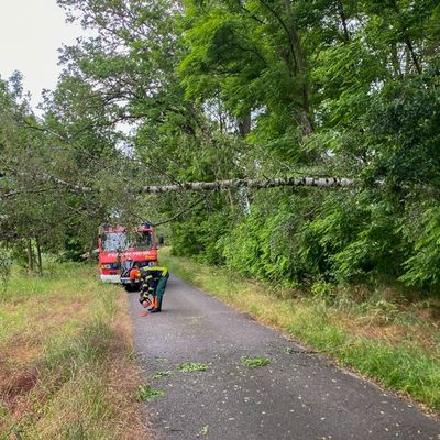 FW Flotwedel: Feuerwehren der Samtgemeinde Flotwedel an zwei Tagen bei technischen Hilfeleistungen im Einsatz