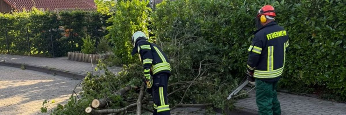 FW-AUR: Baumkrone droht niederzustürzen