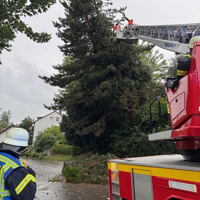 FW-OG: Unwetter über Offenburg - Straßen und Keller überflutet, Bäume entwurzelt und abgeknickt.