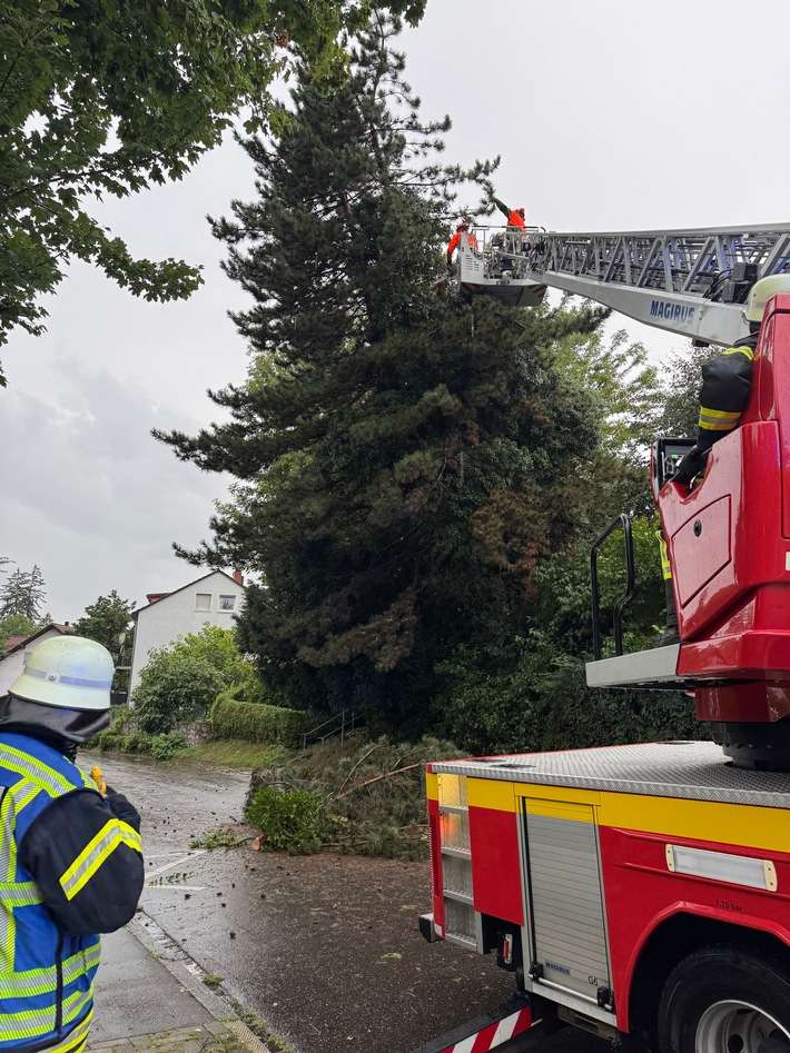 FW-OG: Unwetter über Offenburg - Straßen und Keller überflutet, Bäume entwurzelt und abgeknickt.