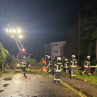 FW-AUR: Diverse Bäume durch Unwetterereignis umgeweht