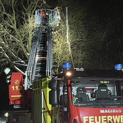 FW-AUR: Langer Ast drohte niederzustürzen