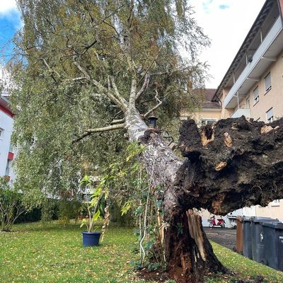 FW Konstanz: Unwetterlage fordert die Feuerwehr