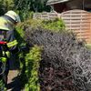 FW-AUR: Zwei Heckenbrände kurz nacheinander