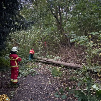 FW Minden: Sturmtief Manja bescherte mehrere Einsätze