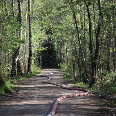 FW-SE: Erneut großer Wald- und Moorbrand im Kreis Segeberg