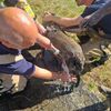 FW Meerbusch: Person in Sumpf eingesunken