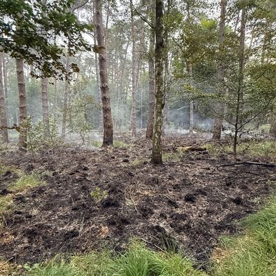 FW Rösrath: 2. Folgemeldung zum Waldbrand in der Wahner Heide - Löscharbeiten wieder aufgenommen