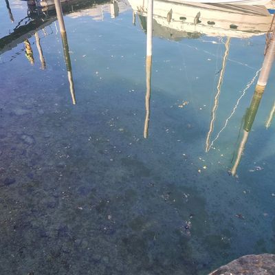 FW Konstanz: Ölteppich im Konstanzer Hafen