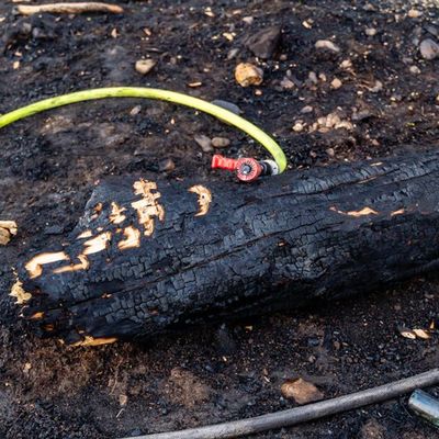 Feuerwehr MTK: Vegetationsbrand in Hattersheim nach rund 18 Stunden beendet - Brandwache musste in der Nacht weitere Brandnester ablöschen