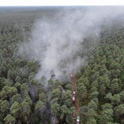 FW Lüchow-Dannenberg: +++ Lüchow-Dannenberg: Waldbrand im Gartower Forst +++ rund 5.000 qm Waldfläche betroffen +++ Erinnerungen an 1975 werden wach +++