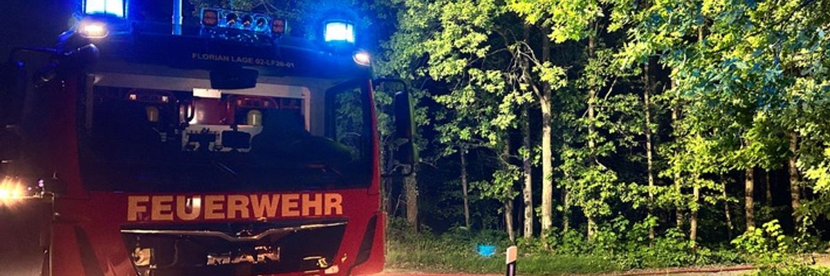FW Lage: Feuer Fläche/Wald - 10.05.25 - 22:12 Uhr