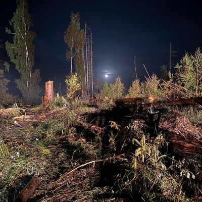 FW Kreis Soest: Dritte Folgemeldung zum Waldbrand am Möhnesee