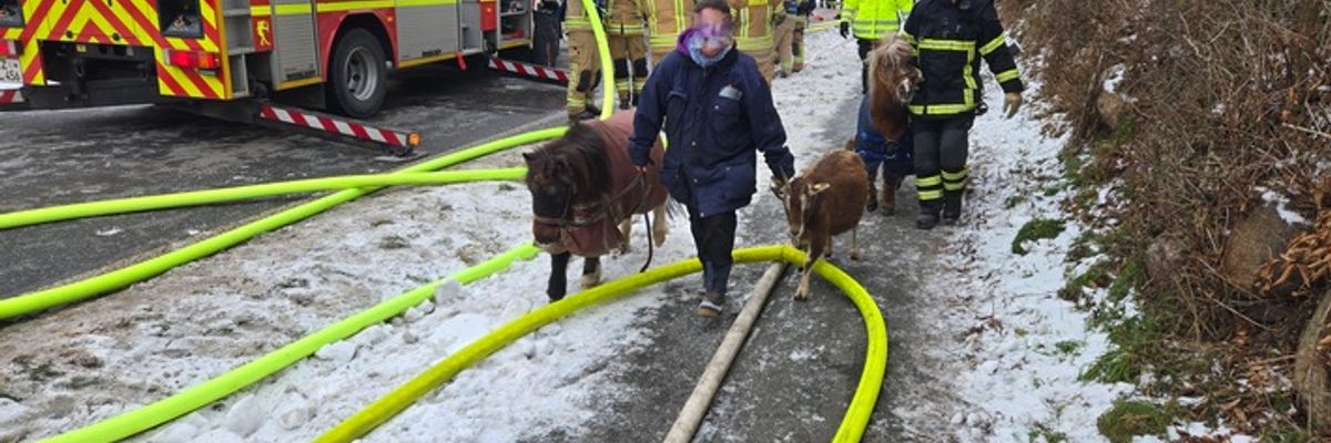 FW-RZ: Dachstuhlbrand in Linau/Hzgt. Lauenburg