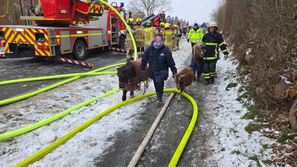 FW-RZ: Dachstuhlbrand in Linau/Hzgt. Lauenburg