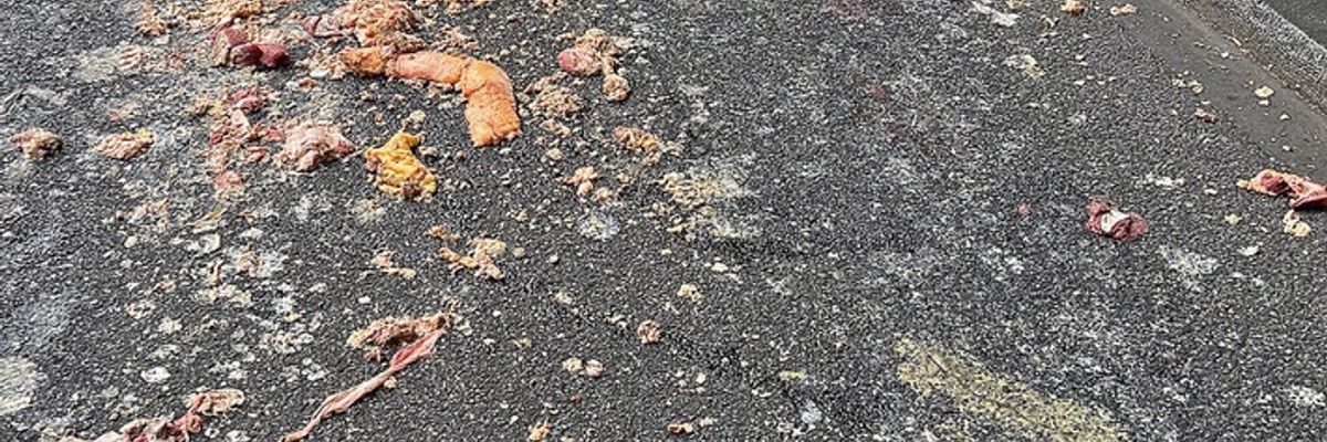 FW-M: Tierische Sauerei (Isarvorstadt)