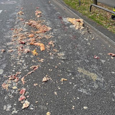 FW-M: Tierische Sauerei (Isarvorstadt)