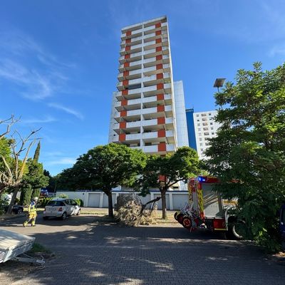 FW Speyer: Balkonbrand in der 14. Etage der Doppelhochhäuser "Max und Moritz" - Keine Verletzten
