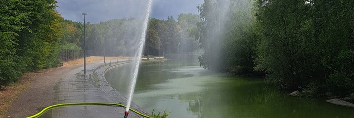 FW-BO: Technischer Betrieb der Stadt Bochum und Feuerwehr Bochum verhindern Fischsterben in Regenrückhaltebecken