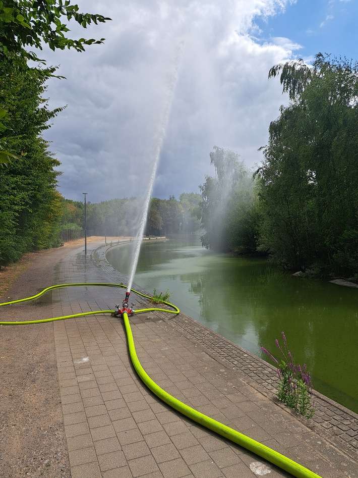 FW-BO: Technischer Betrieb der Stadt Bochum und Feuerwehr Bochum verhindern Fischsterben in Regenrückhaltebecken