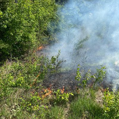 FW-SE: Erneuter Vegetationsbrand in Kaltenkirchen