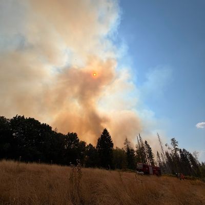 FW LK Neunkirchen: Waldbrand im Hosterwald: Einsatz nach 78 Stunden beendet