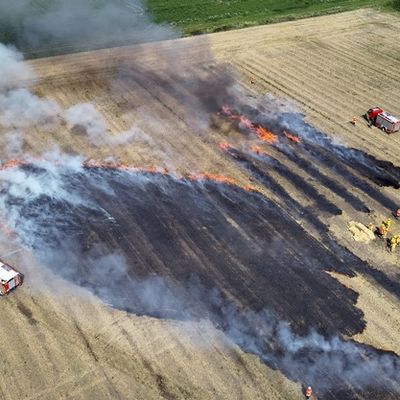 FW Lüchow-Dannenberg: +++ Besondere Brände erfordern besondere Maßnahmen +++ Feuerwehren der Samtgemeinde Elbtalaue trainieren die Brandbekämpfung von Vegetationsbränden +++