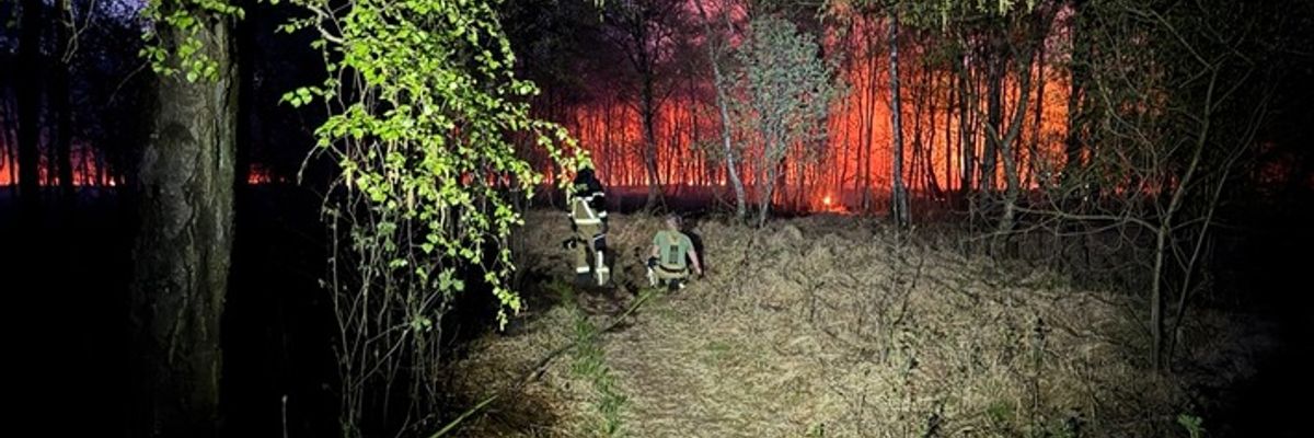 FW-SE: Einsatzkräfte bei größerem Wald- und Moorbrand gefordert