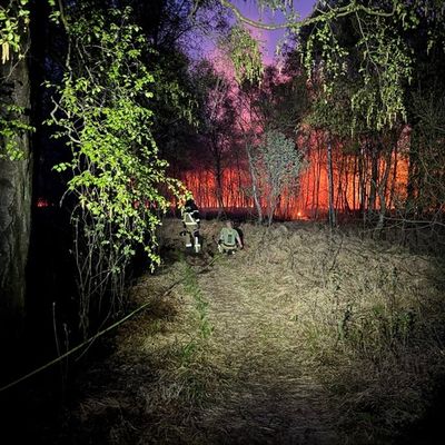 FW-SE: Einsatzkräfte bei größerem Wald- und Moorbrand gefordert