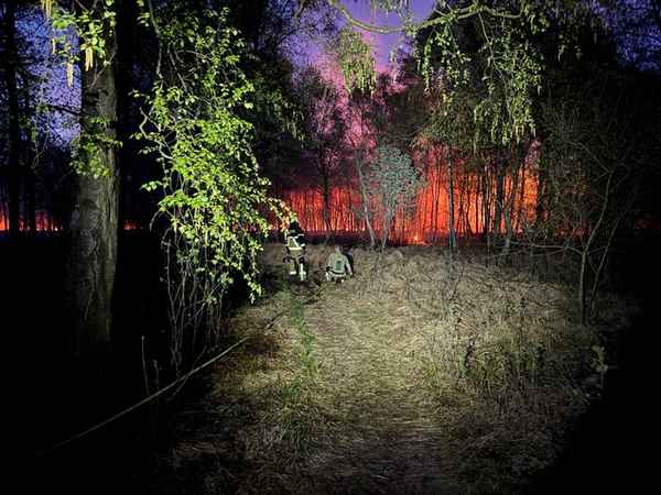 FW-SE: Einsatzkräfte bei größerem Wald- und Moorbrand gefordert