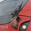 FW-HAAN: Fahrgäste auf freier Strecker aus S-Bahn geführt