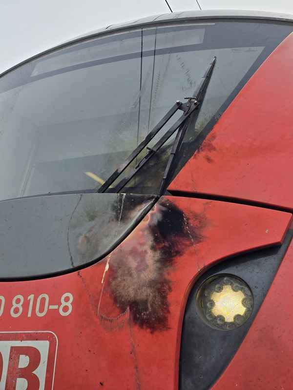 FW-HAAN: Fahrgäste auf freier Strecker aus S-Bahn geführt
