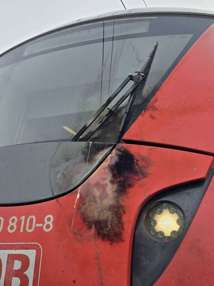 FW-HAAN: Fahrgäste auf freier Strecker aus S-Bahn geführt